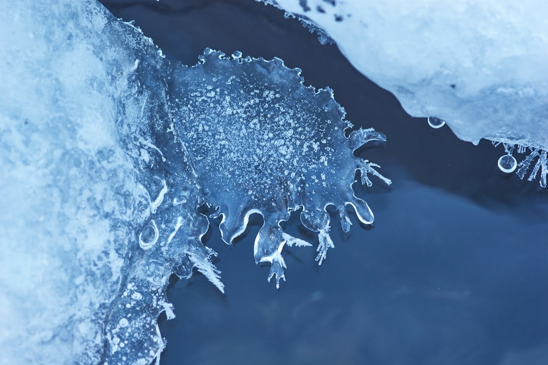 Photo Melting clocks